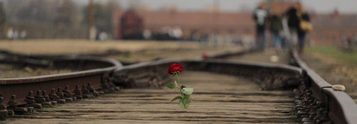 Die Birkenau-Rampe: Ort der Selektion und stummer Zeuge des Verbrechens